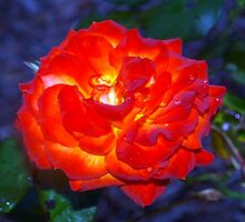 Engulfed in passion by ♥⊱ B. Randi Bailey