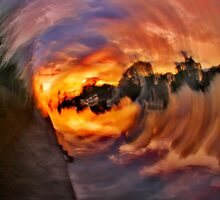 I Pictured You In The Sun by Mat Robinson