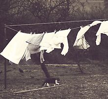 Out on the line by Rosie Nixon