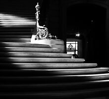The light on the stairs of power – San Francisco City Hall by Uri Z. Fogel