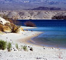 Cottonwood Cove, Lake Mojave, Nevada by waddleudo