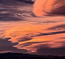 Riding the Wild Sky by Gregory J Summers