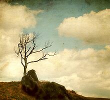 My Tree by Darren Fisher