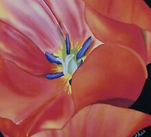 Tulip by khchan