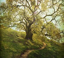 The Path to Brighter Days by Laurie Search