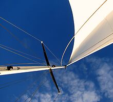 Looking up... by Hans Bax