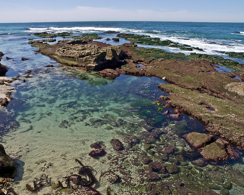 la-jolla-tide-pools-by-joe-thill-redbubble