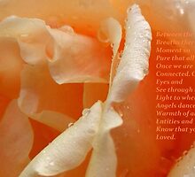 Heartbeat of an angel by su2anne