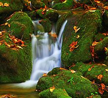 MOUNTAIN STREAM by Chuck Wickham