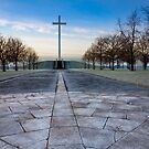 Papal Cross - Dublin Ireland Landmark by Mark Tisdale