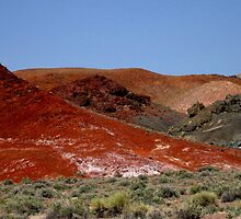 Nevada Can Be Bright Where There Are No Neon Lights by marilyn diaz