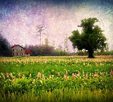 Where the Clary Sage Grows by Lea Weikert