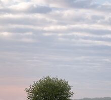 Morning's Promise by Michael Dreese