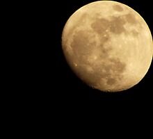 I PROMISE THE MOON FOR YOU by Eric langley