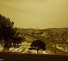 View of Jerusalem by ramzi