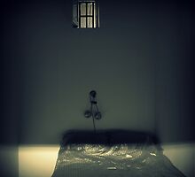 The Light of Freedom by Ben Loveday