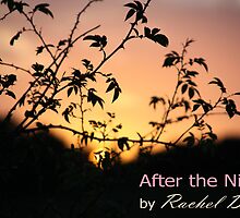 After The Night - book cover by Rachel Dax