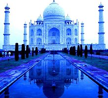 Taj in Tungsten by KerryPurnell