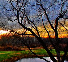 Evening Hour by EBArt