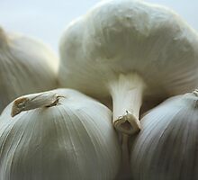 Garlic Bulbs by Stephen Thomas
