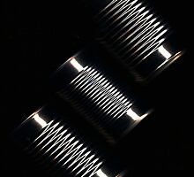 Canned... by linmarie