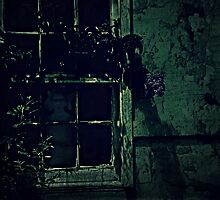 No Escape by Scott Mitchell