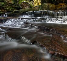 Gently by John Morton