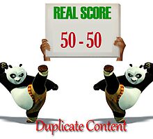 Duplicate Content Equals Low Value by AlGomez