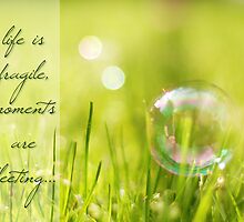 Life is Fragile (Card) by Tracy Friesen