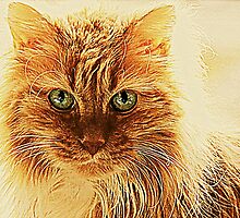 Marmalade Cat With Curvy Whiskers by Jean Gregory Evans