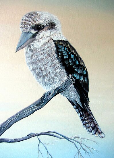 Kookaburra by © Linda Callaghan Kookaburra by © Linda Callaghan