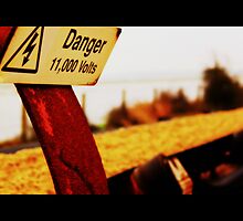 Danger, Danger, High Voltage by playfulkit