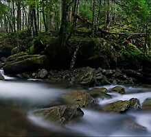 Meander Forest pan by Robert Mullner
