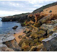 Beachport Limestone Crumble by George Petrovsky