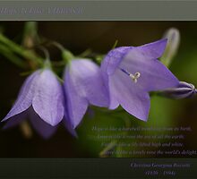 Hope ~ Harebell by JETAdamson