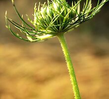 To Stand Alone by Briana McNair