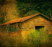 Deep in the woods there sits an abandoned farm by Scott Mitchell