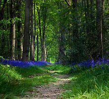 British nature at its best by Martyn Franklin