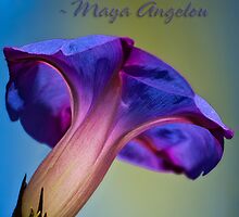 Morning glory inspiration by Celeste Mookherjee