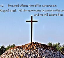 We will believe him by aprilann