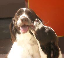 Je t'aime! by Pamela Jayne Smith