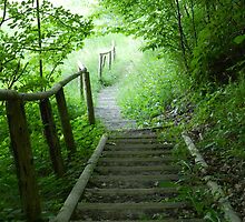 Where the trail ends..... by Heather Crough