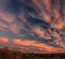 Dusk in the Simpson Desert by Tim Coleman