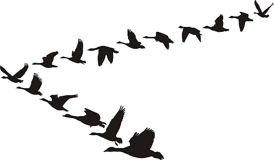 "Geese Flying In The Shape Of Unit" By Gepard | Redbubble