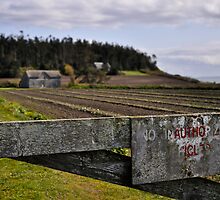 No Unauthorized Vehicles by Jim Adams