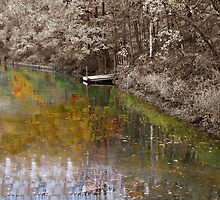 Reflections of youth by David Dehner