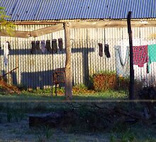 no frills by LouJay