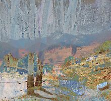 Walking in the Spirit of the Ancient Ones by Lenore Senior