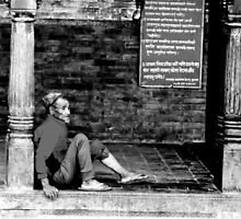 TIRED OF LIFE AND LOOKING FOR A PLACE TO REST by HEARTSFORINDIA