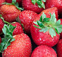 Strawberry Anyone... by Sherry Hallemeier